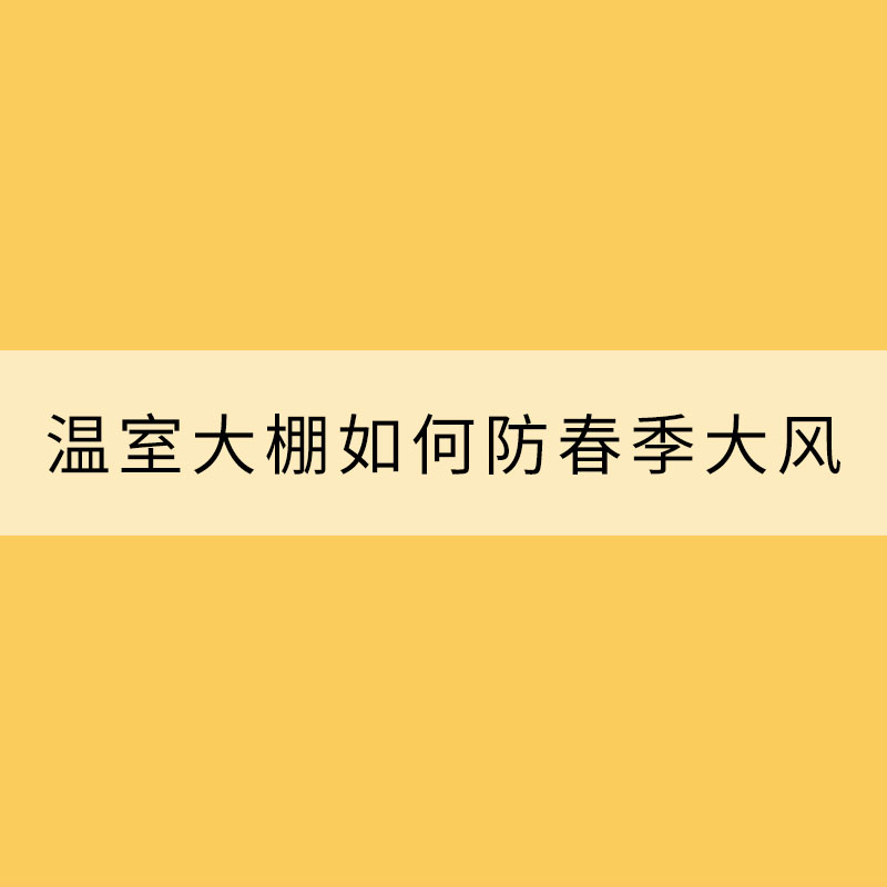 溫室大棚如何防春季大風(fēng)